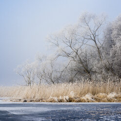 Winterlandschaft mit gefrorenem Fluss und Bäumen - FOLF06034