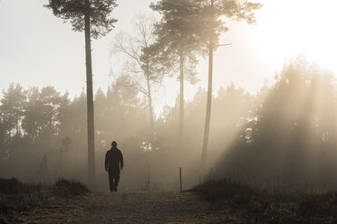 Silhouette eines Mannes, der in der Morgendämmerung im Wald spazieren geht - FOLF06035