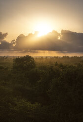Sonnenuntergang über Bäumen in Kenia - FOLF06204