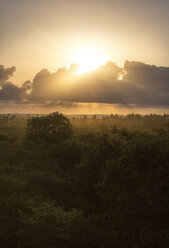 Sunset over trees in Kenya - FOLF06204