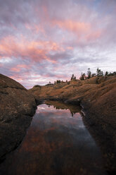 Felsenpool bei Sonnenuntergang - FOLF06387