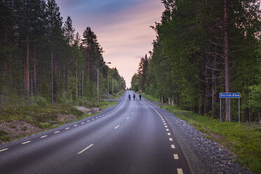 Waldweg in Schweden - FOLF06402