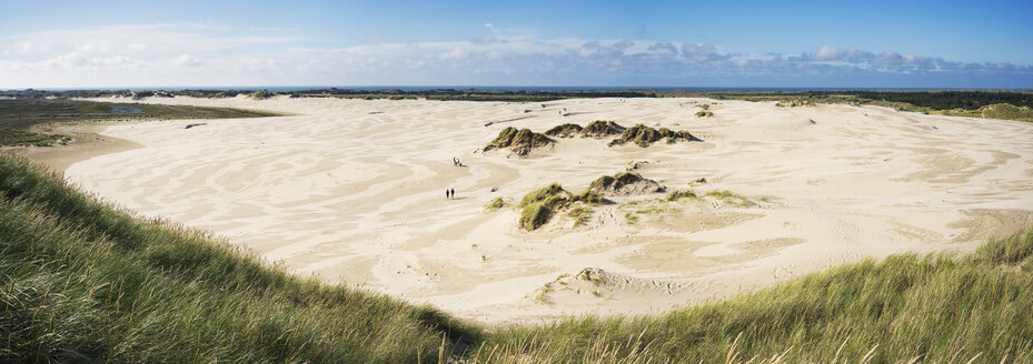 Strand in Dänemark - FOLF06482