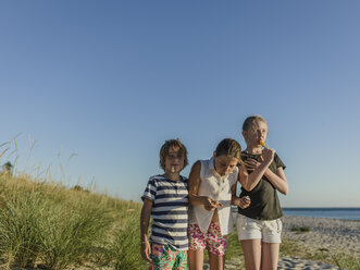 Geschwister am Strand - FOLF06584