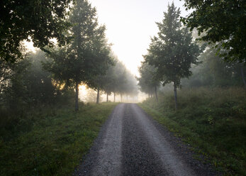 Ländliche Straße in Schweden - FOLF06598