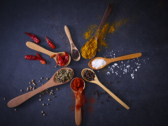 Variety of spices on wooden spoons - KSWF01896