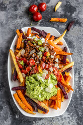 Gemüsepommes mit vegetarischer Bolognese, Guacamole, Joghurt-Dip, Tomaten, Frühlingszwiebeln und Parmesan auf dem Teller - SARF03641