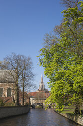 Belgium, Flanders, Bruges, Old town, Canal in spring, Liebfrauenkirche in background, chestnut tree - GWF05499