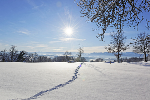 Deutschland, Bayern, Eurasburg, Blick ins Loisachtal, Fußspuren im Winter, lizenzfreies Stockfoto
