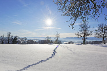 Deutschland, Bayern, Eurasburg, Blick ins Loisachtal, Fußspuren im Winter - LHF00557