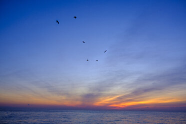 Italy, Liguria, Riviera di Ponente, Gulf of Genoa, Noli, sunrise at beach - LBF01881