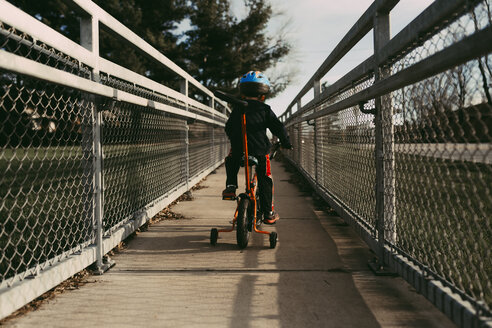Rückansicht eines Jungen, der auf einem Fußweg inmitten von Zäunen Fahrrad fährt - CAVF32382