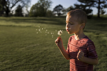 Boy blowing dandelion seeds at park - CAVF32384