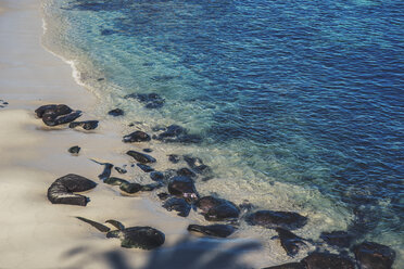 High angle view of rocks at beach - CAVF32405