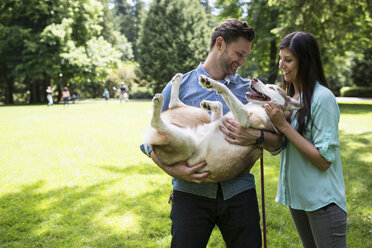 Glückliches Paar spielt mit Hund im Park - CAVF33052