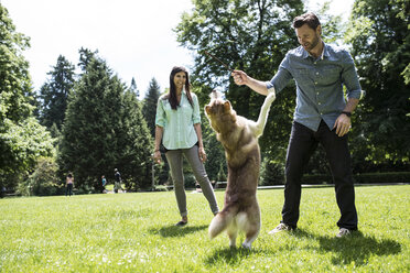 Glückliches Paar spielt mit Hund auf einer Wiese im Park - CAVF33053