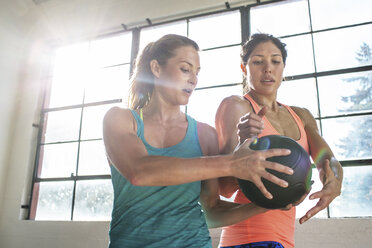 Freunde trainieren mit Medizinball am Fenster im Fitnessstudio - CAVF33283