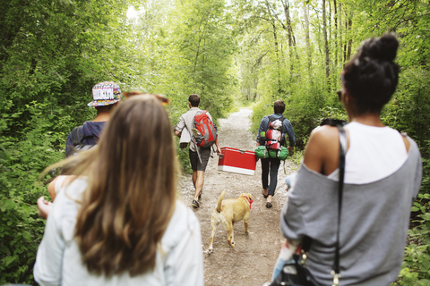 Rückansicht von Freunden mit Rucksack, die auf einem Feldweg inmitten von Bäumen laufen, lizenzfreies Stockfoto