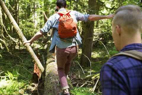Wanderer auf Baumstamm im Wald, lizenzfreies Stockfoto