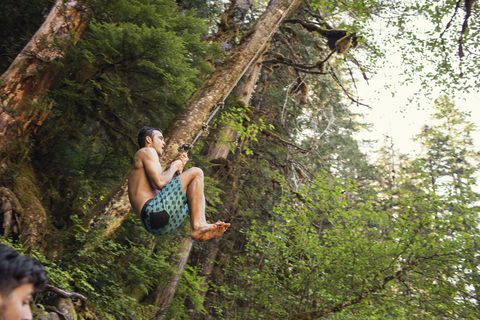 Niedriger Blickwinkel auf einen Mann, der an einem Seil im Wald schwingt, lizenzfreies Stockfoto