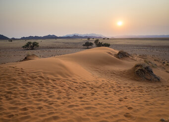 Afrika, Namibia, Namib-Wüste, Naukluft-Nationalpark, Sossusvlei, Elim-Düne bei Sonnenaufgang - RJF00765