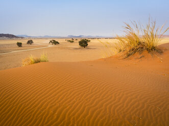 Afrika, Namibia, Namib-Wüste, Naukluft-Nationalpark, Sossusvlei, Elim-Düne - RJF00766