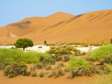 Afrika, Namibia, Namib-Wüste, Naukluft-Nationalpark, Sossusvlei - RJF00771