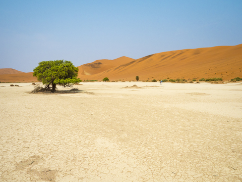 Afrika, Namibia, Namib-Wüste, Naukluft-Nationalpark, Sossusvlei, lizenzfreies Stockfoto