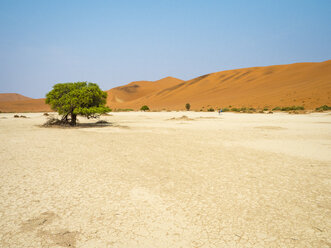 Afrika, Namibia, Namib-Wüste, Naukluft-Nationalpark, Sossusvlei - RJF00772