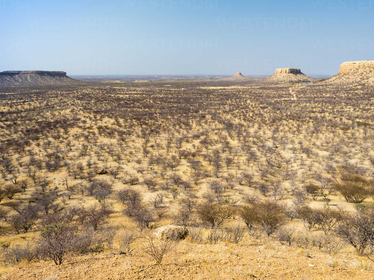Africa, Namibia, Damaraland, scrubland stock photo