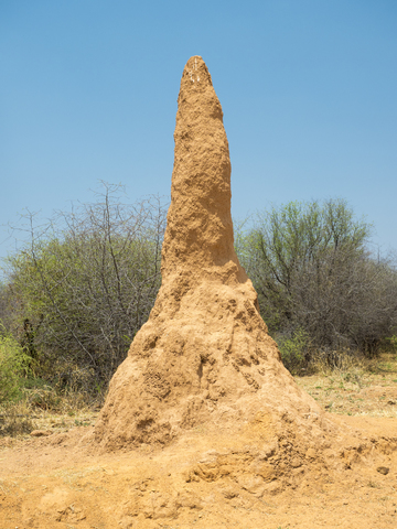 Africa, Namibia, termite hill stock photo