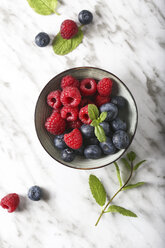 Bowl of blueberries and raspberries - RTBF01144