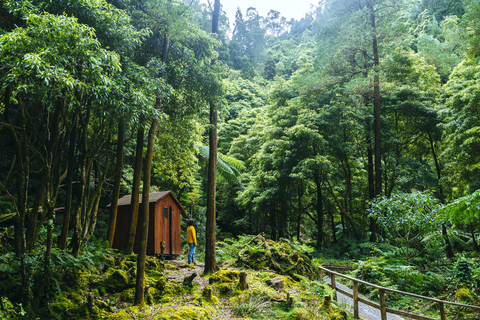 Azores, Sao Miguel, Man in the forest of Caldeira Velha stock photo