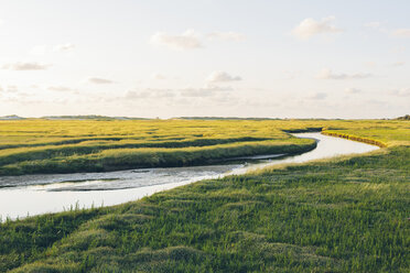 Ländliche Landschaft mit Fluss - FOLF06709