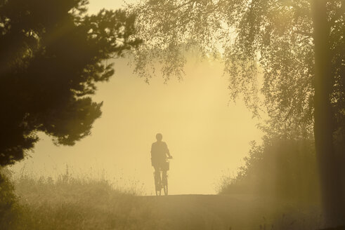 Silhouette einer Frau auf dem Fahrrad - FOLF06777