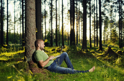Mann sitzt an einem Baum im Fichtenwald und benutzt einen Laptop - FOLF06799