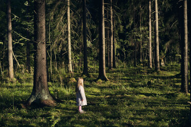 Girl standing in spruce forest - FOLF06806