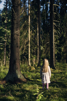 Mädchen stehend im Fichtenwald - FOLF06808