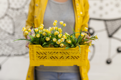 Nahaufnahme einer Frau mit einem gelben Frühlingsblumenkasten, lizenzfreies Stockfoto