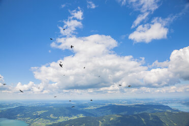 Austria, flying birds stock photo