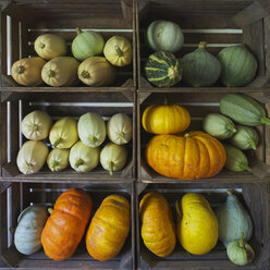 Pumpkins in wooden boxes - FOLF07374