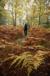 Mittlere erwachsene Frau beim Wandern im Wald - FOLF07416