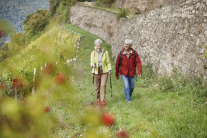 Deutschland, Rheingau, glückliches Seniorenpaar beim gemeinsamen Wandern - RORF01244
