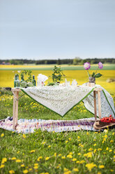 Holztisch auf einer Wiese im Frühling - FOLF07611