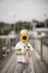 Junge hält Sonnenblume - FOLF07658