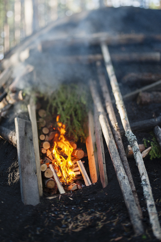 Brennendes Feuer und Holzscheite im Brennofen, lizenzfreies Stockfoto