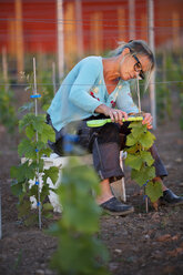 Mature woman working in vineyard - FOLF07873