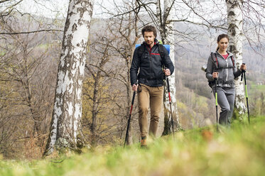 Hikers walking in forest - CAVF33688