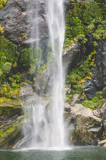 Wasserfall in Neuseeland mit überwucherter Felswand im Hintergrund - FOLF08071