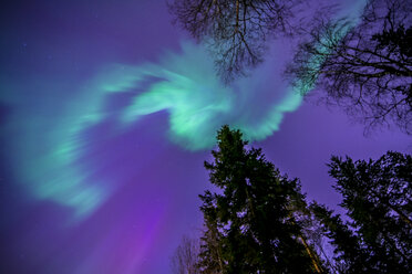 Aurora borealis in Oulu, Finnland - FOLF08228